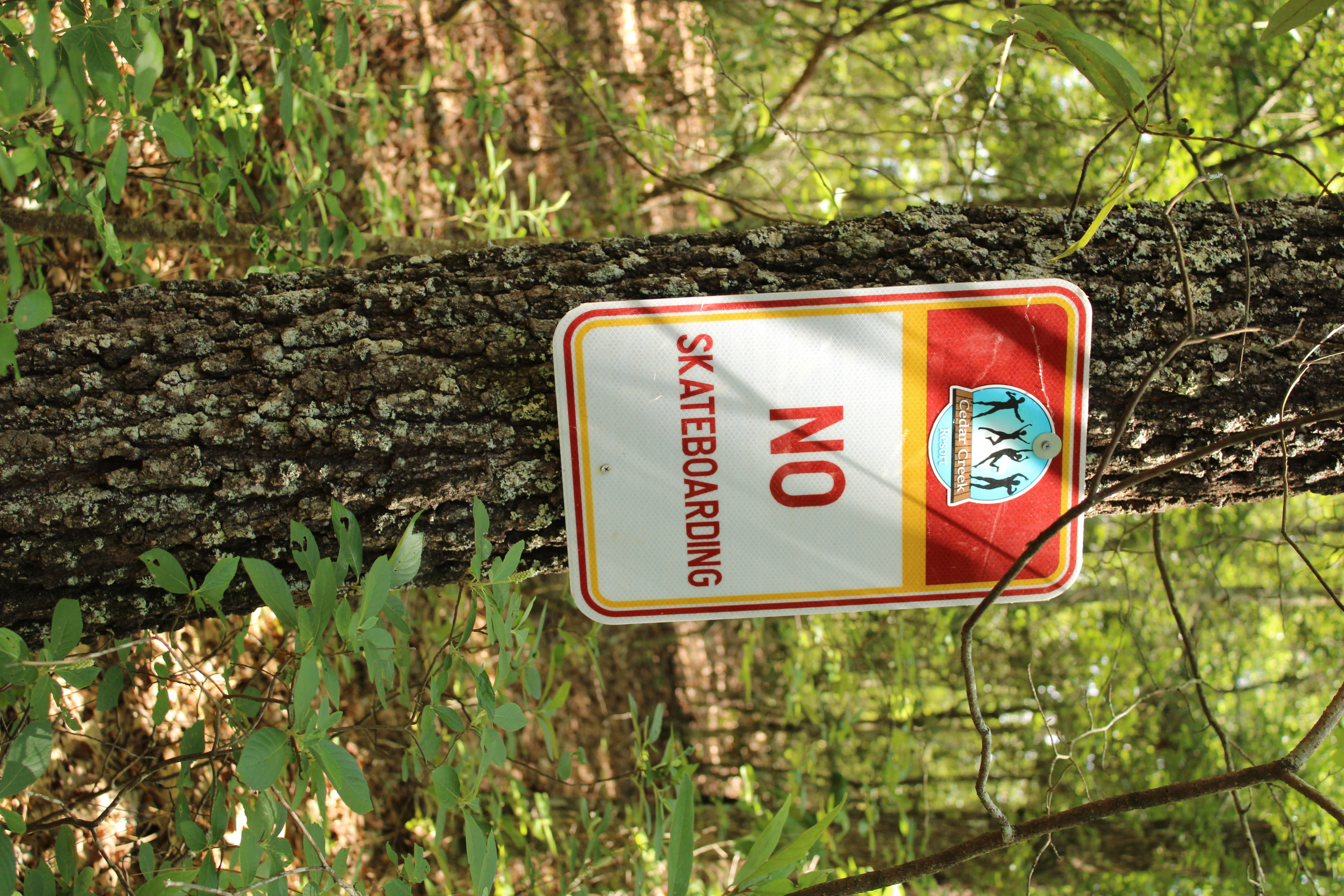 Cedar Creek Nudist Resort